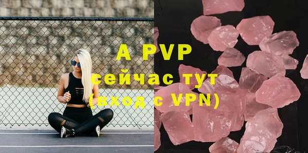 PSILOCYBIN Майский