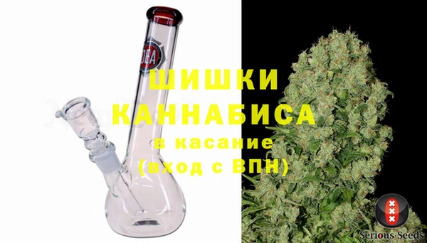 PSILOCYBIN Майский