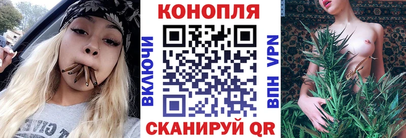 где купить наркотик  MEGA зеркало  Каннабис тримм  Тайшет 
